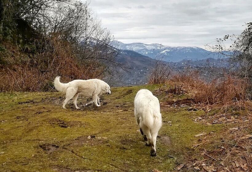 Door2heaven Eco Hotel And Camping