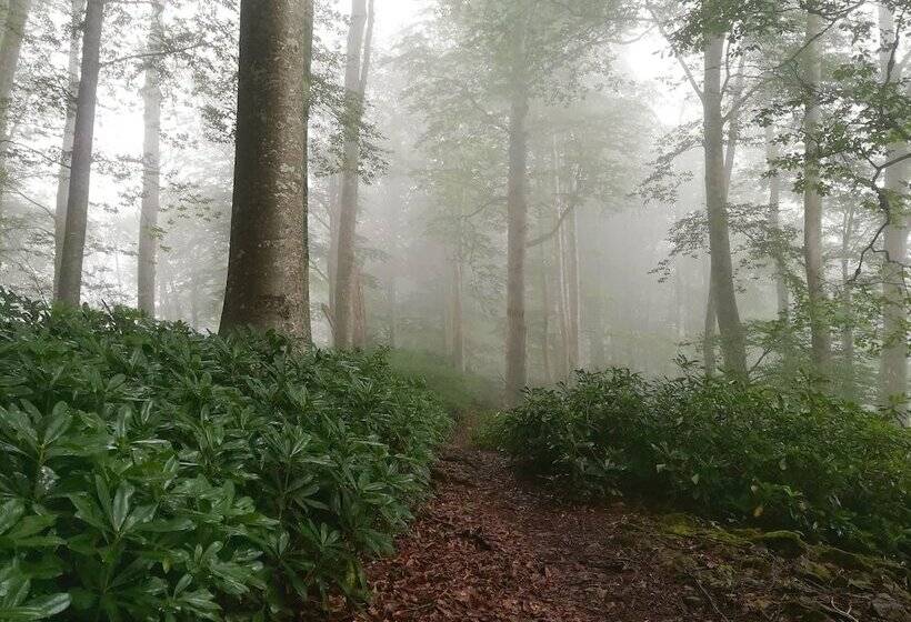 Door2heaven Eco Hotel And Camping