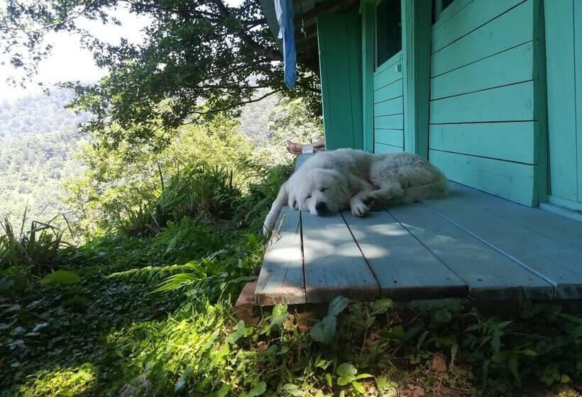 Door2heaven Eco Hotel And Camping