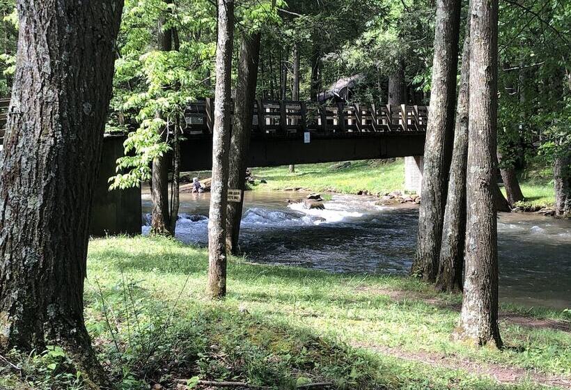 Elk Springs Resort