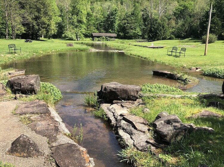 Elk Springs Resort