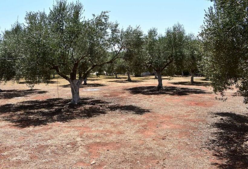 Glamping At A Lovely Tent In Skiaxtro  Marathopoli