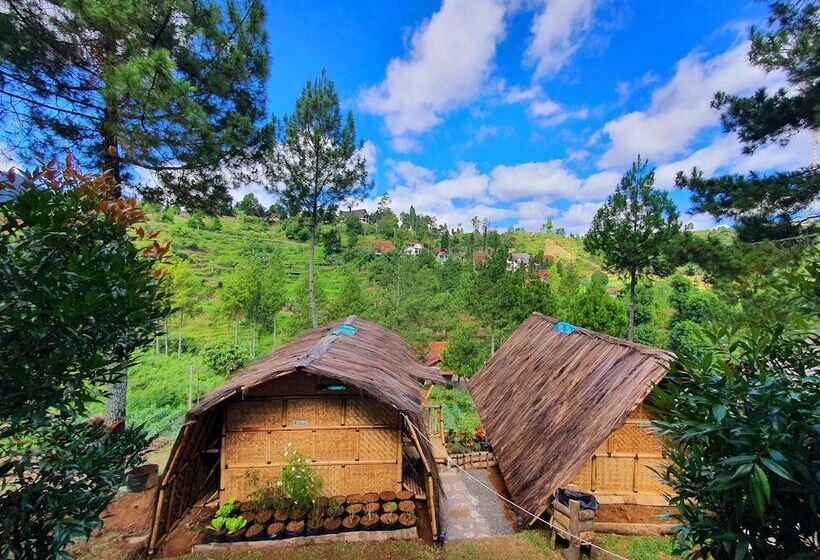 Glamping Ciwidey Argapuri