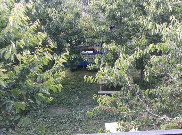 Gursu Otel Kebap Lokantasi