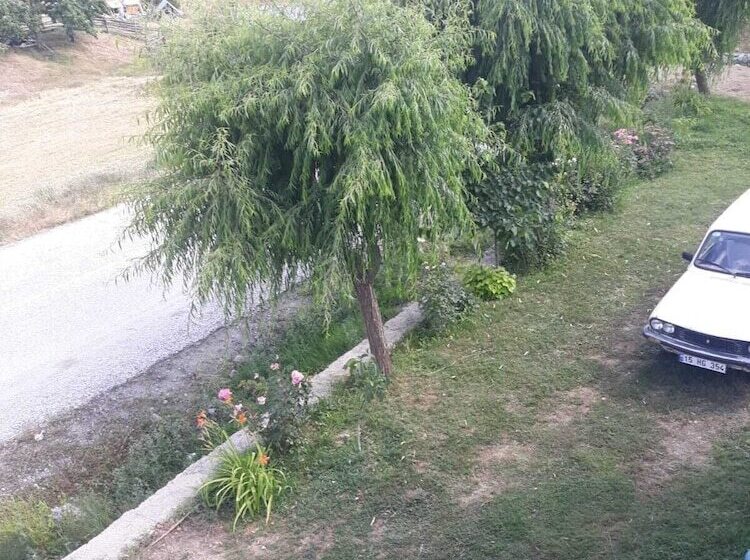 Gursu Otel Kebap Lokantasi