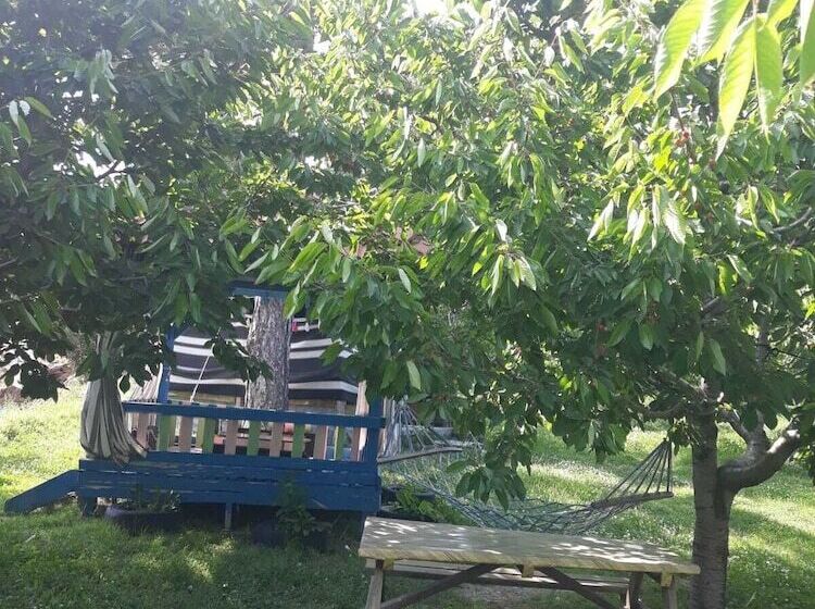 Gursu Otel Kebap Lokantasi