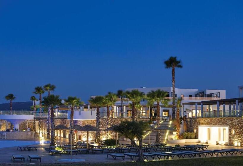 酒店 Atlantica Plimmiri