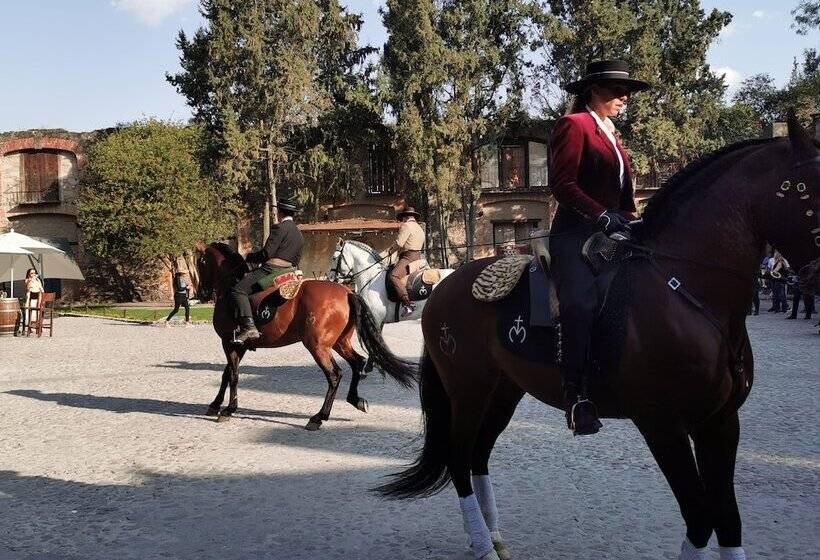 酒店 Canaria Valquirico