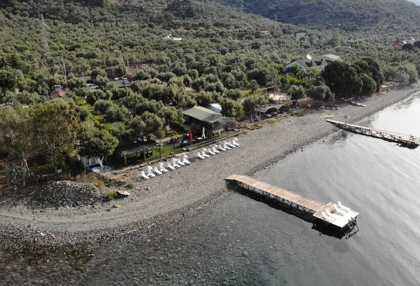 فندق Concept Bungalow