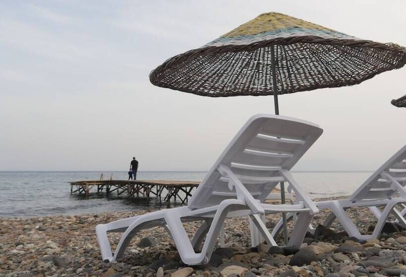 فندق Concept Bungalow