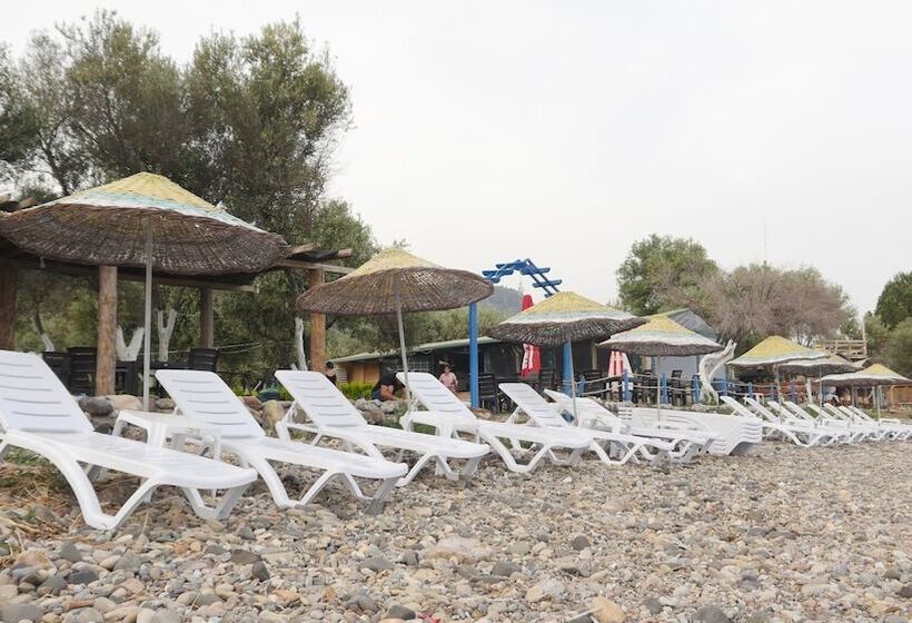 فندق Concept Bungalow