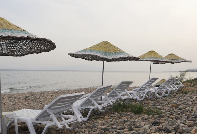 فندق Concept Bungalow