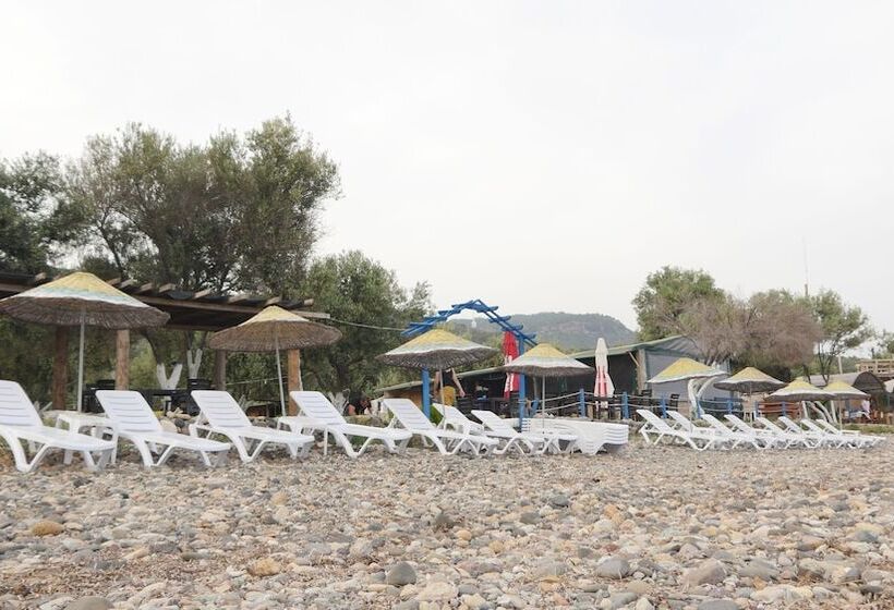 ホテル Concept Bungalow