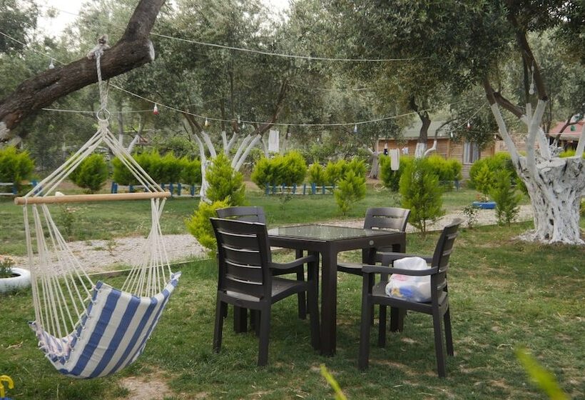 فندق Concept Bungalow