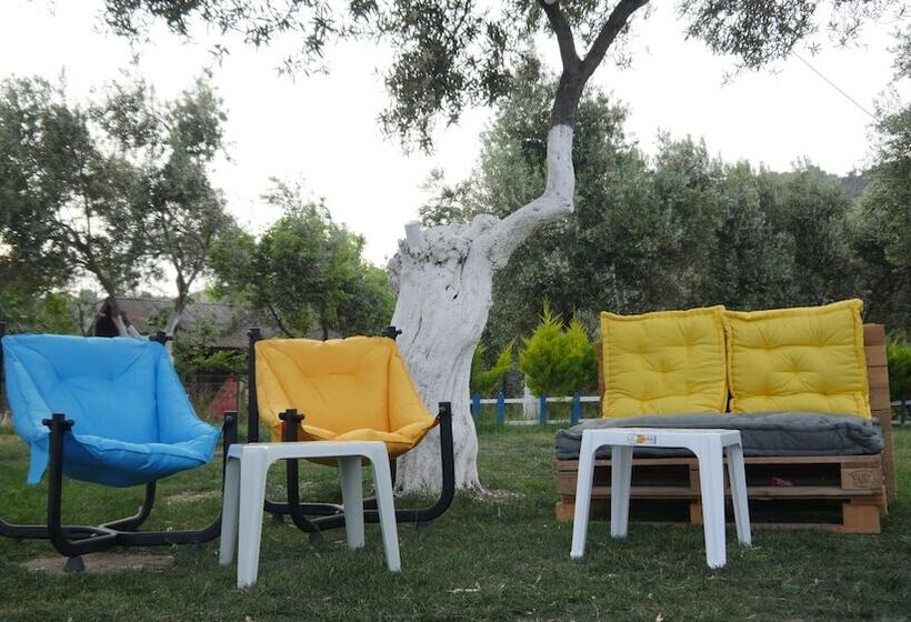 فندق Concept Bungalow