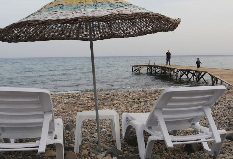 فندق Concept Bungalow