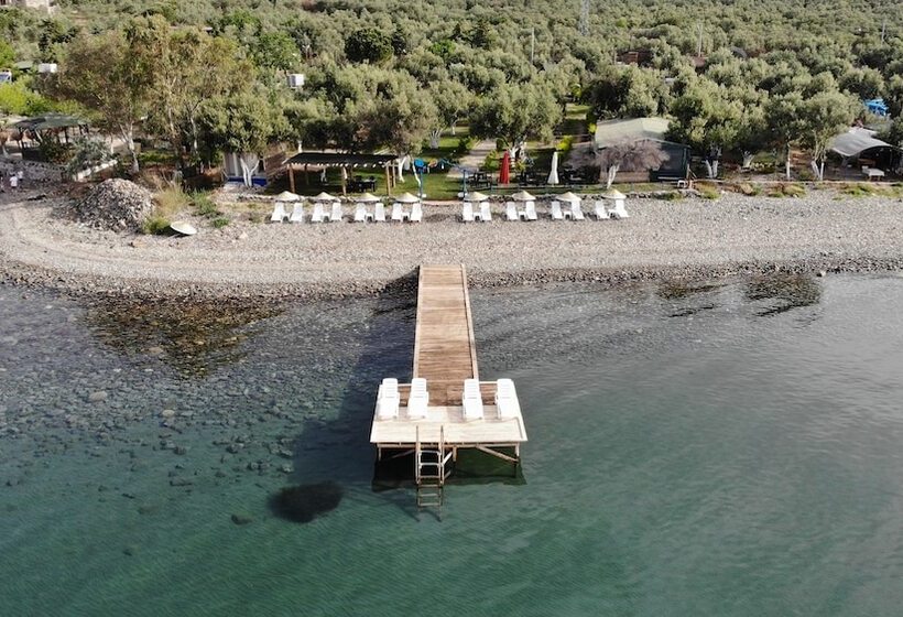 فندق Concept Bungalow