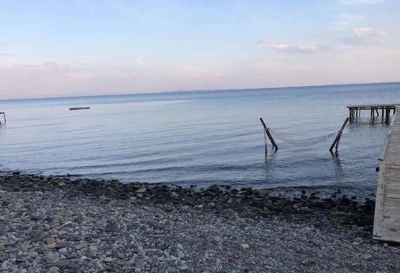 فندق Concept Bungalow