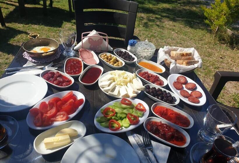 فندق Concept Bungalow