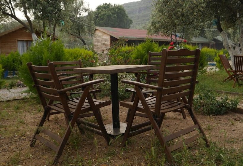 فندق Concept Bungalow