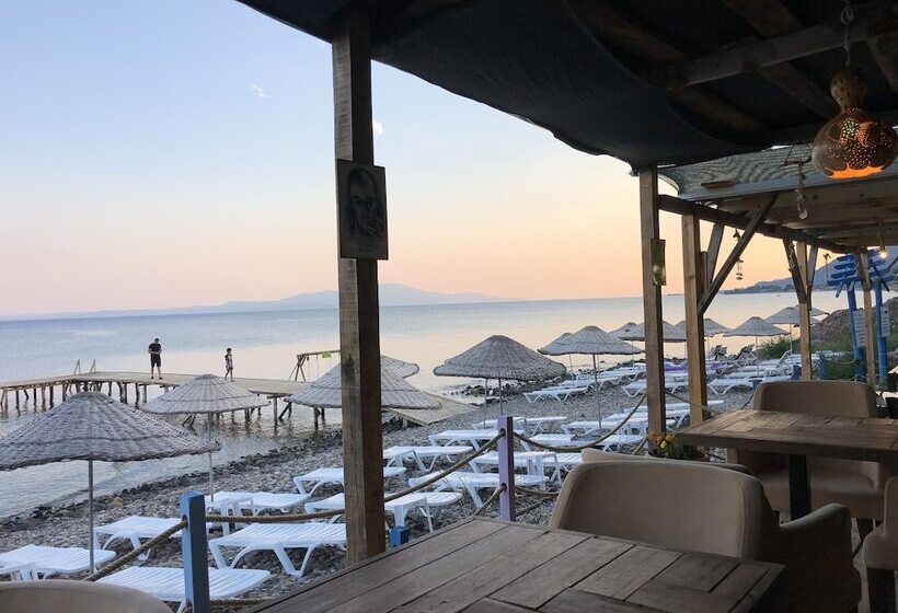 فندق Concept Bungalow