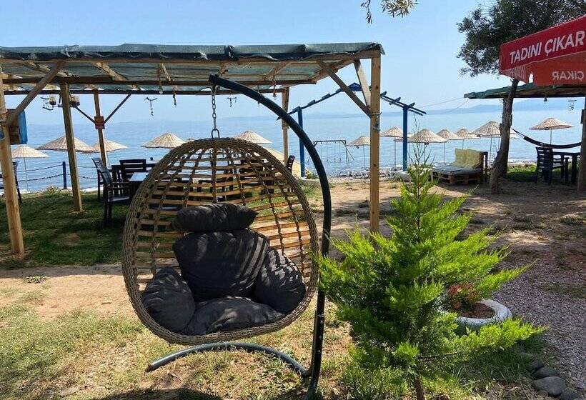 فندق Concept Bungalow