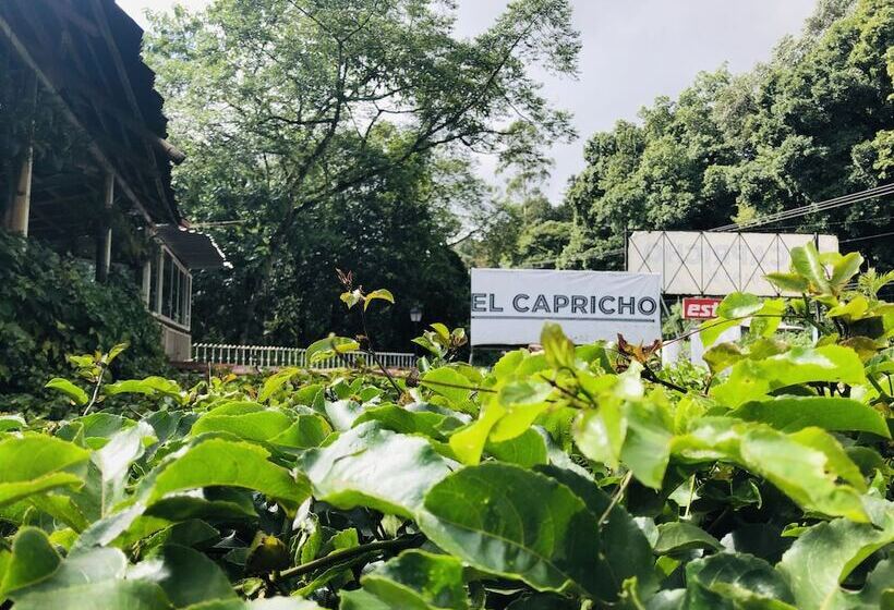 ホテル El Capricho By Rotamundos