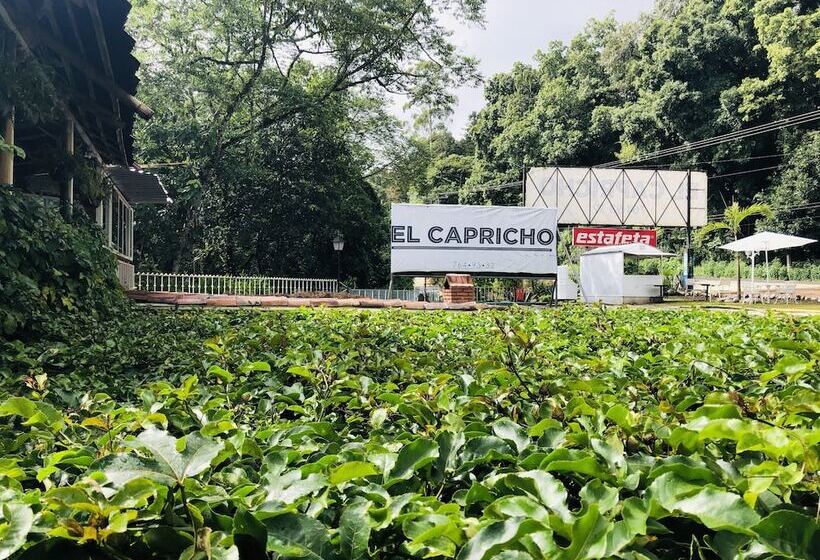 ホテル El Capricho By Rotamundos