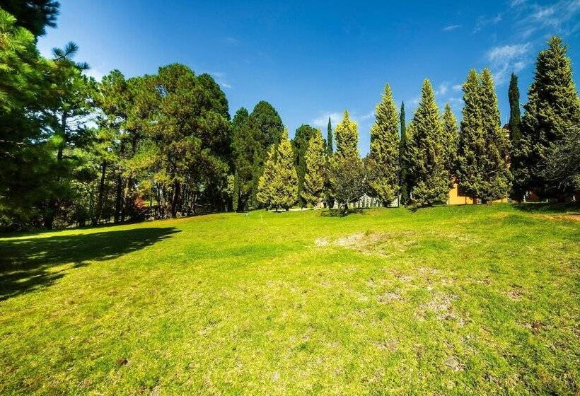 فندق El Roble Resort