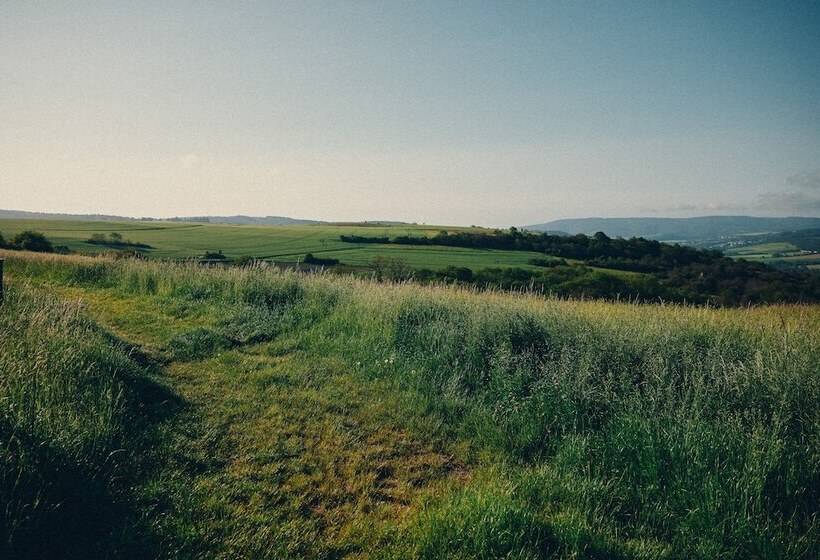 ホテル Fetz   Das Loreley