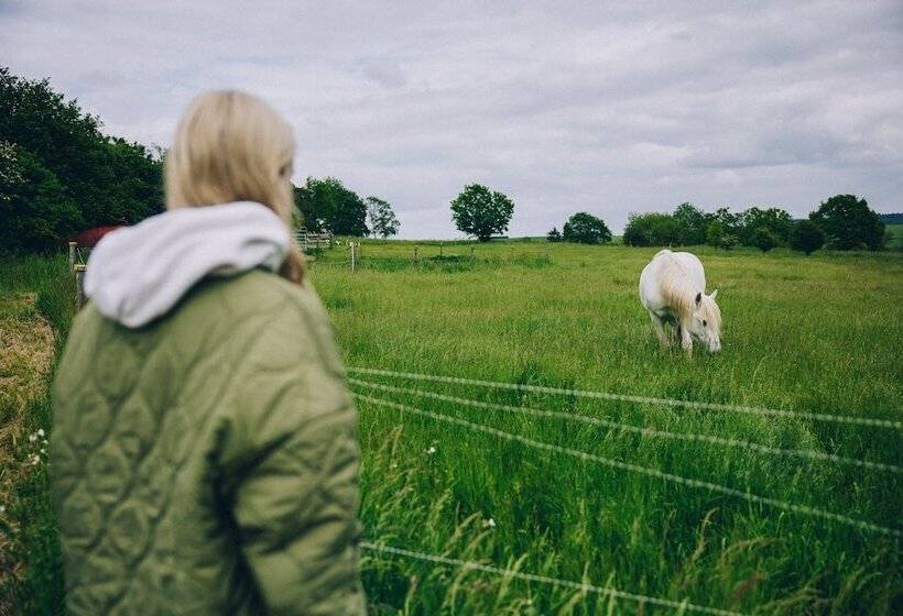 Отель Fetz   Das Loreley