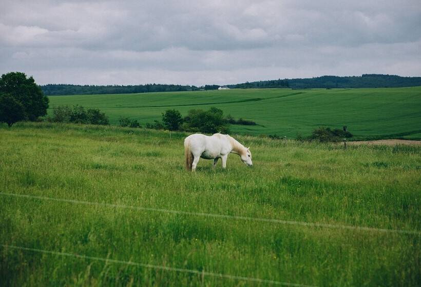 Отель Fetz   Das Loreley