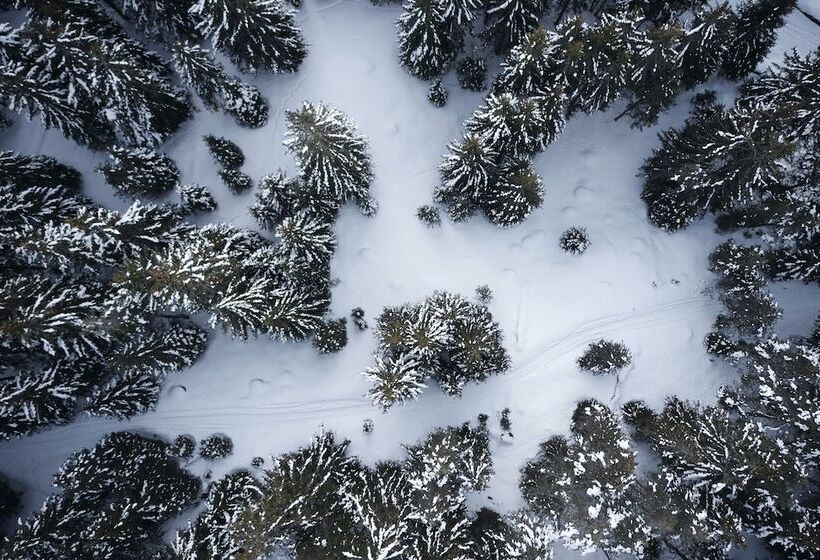 Отель Forestis