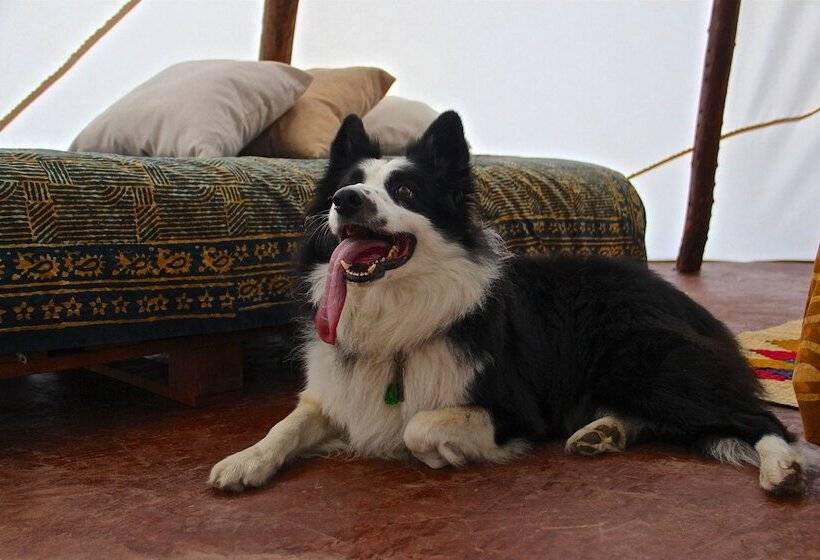 בית מלון כפרי Refugio Del Bosque Glamping