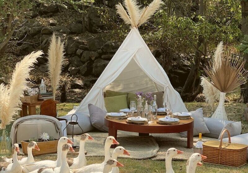 فندق Hacienda Compostela