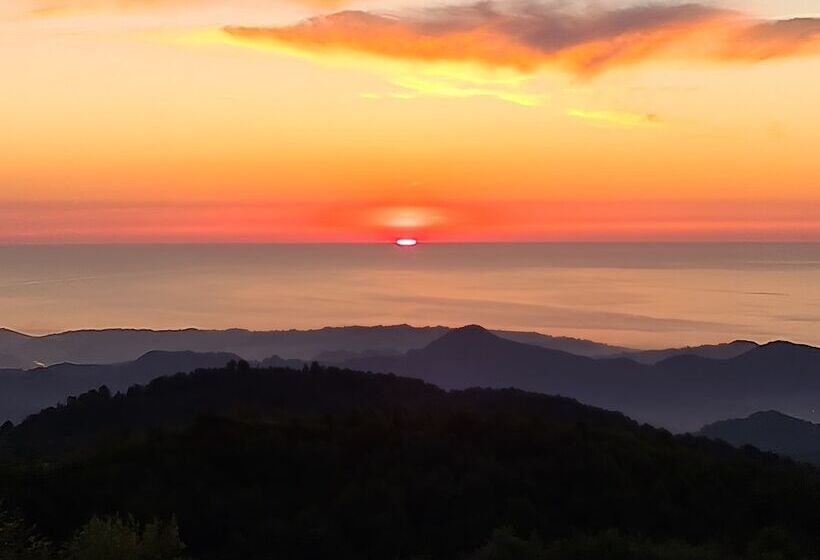 בית מלון כפרי Flora Handüzü Resort & Wellness Bungalow