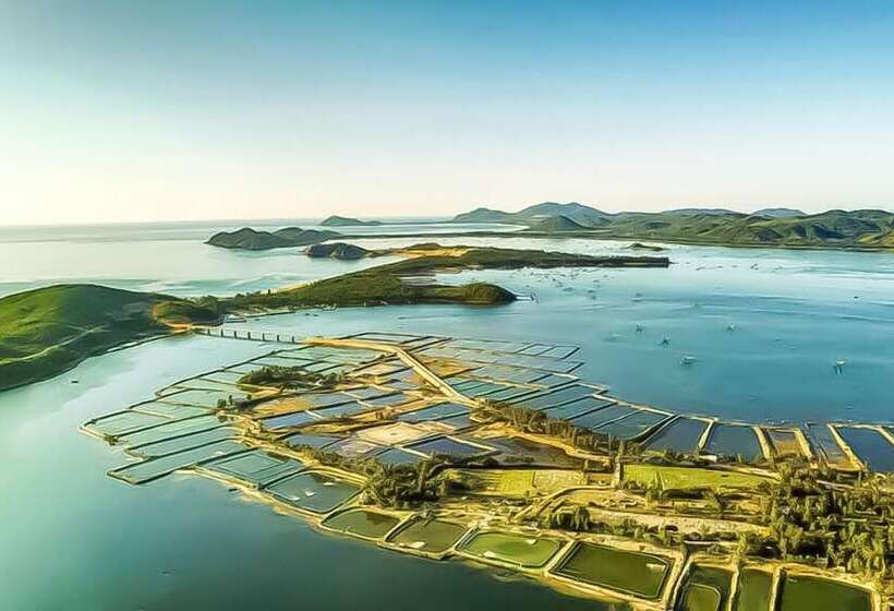 هتل Hoa Loi Resort