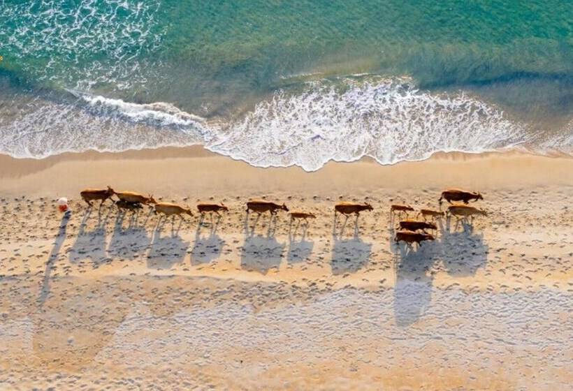 هتل Hoa Loi Resort