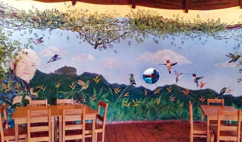 هتل Hostería Paraíso