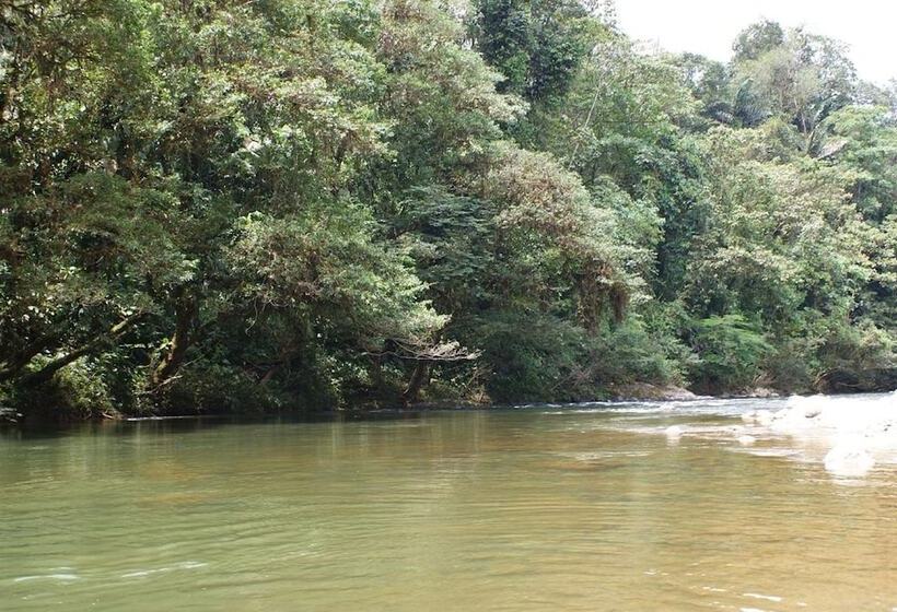 호텔 Hosteria Eco Lodge Latorre