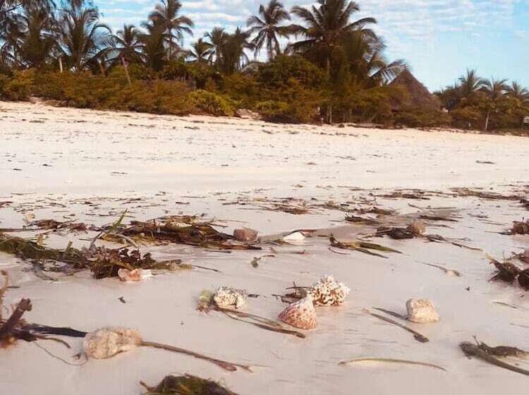 ホテル Kilimani Kwetu Beach