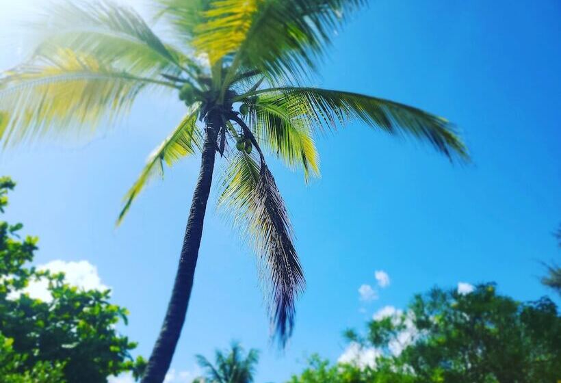 ホテル Kilimani Kwetu Beach