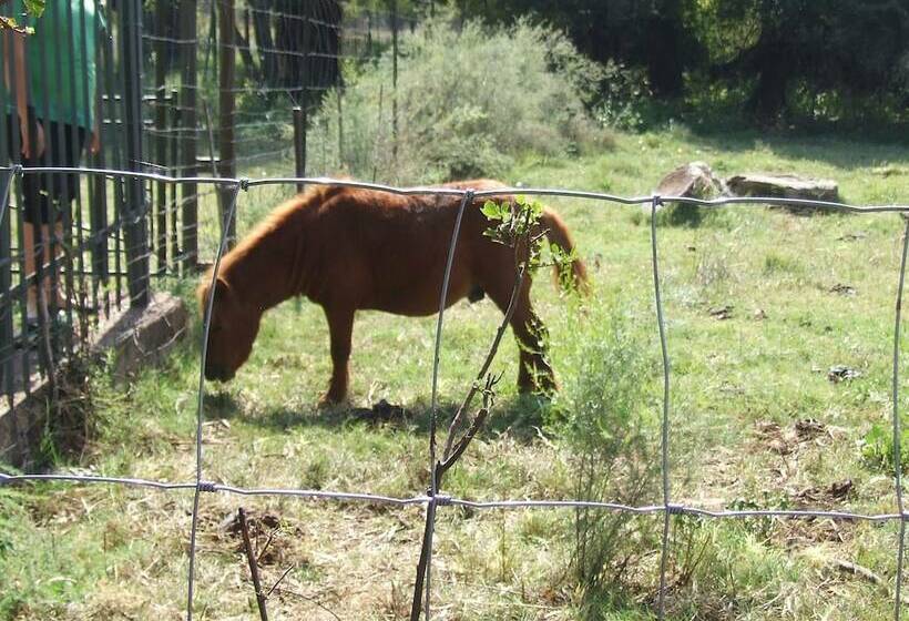 酒店 Klipfontein Game Reserve