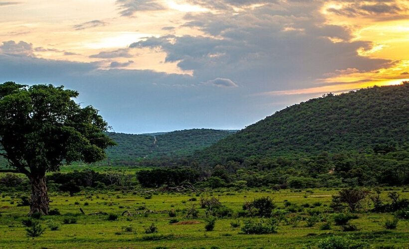 ホテル Laluka Safari Lodge