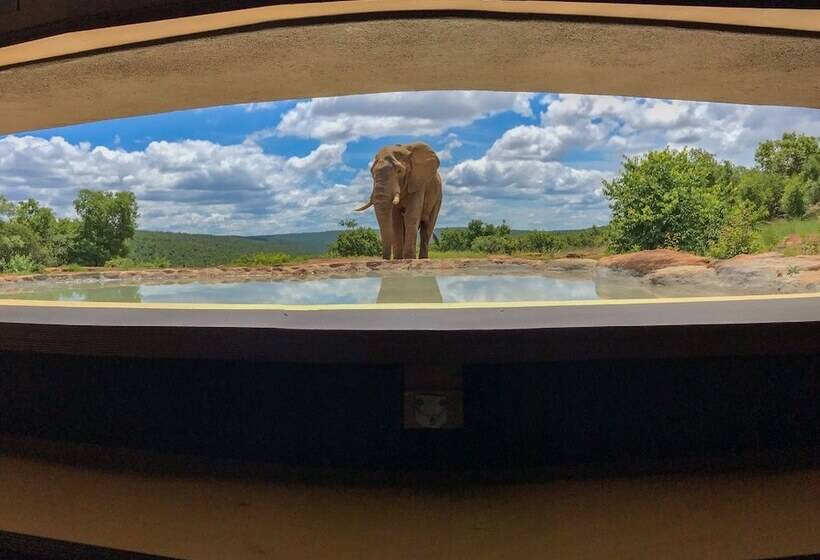 ホテル Laluka Safari Lodge