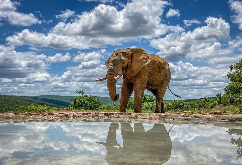 ホテル Laluka Safari Lodge