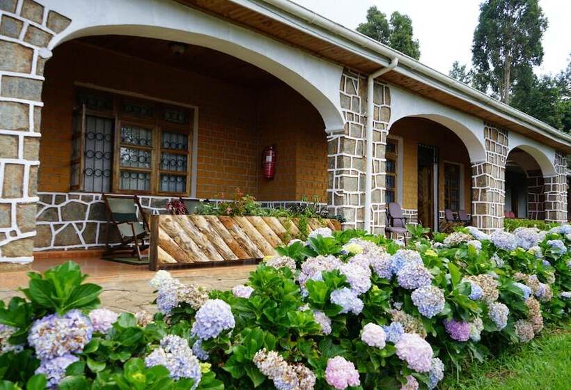 فندق Lushoto Executive Lodge