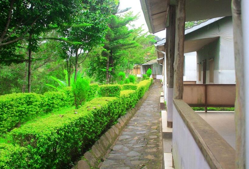 ホテル Lushoto Executive Lodge