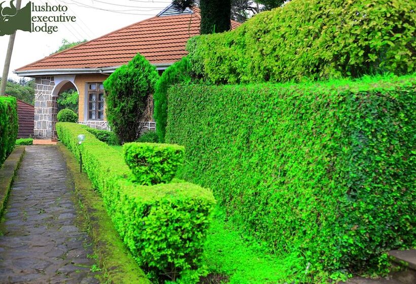 فندق Lushoto Executive Lodge