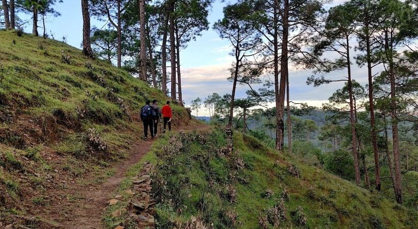 ホテル Majkhali Woods, Ranikhet, By Himalayan Eco Lodges